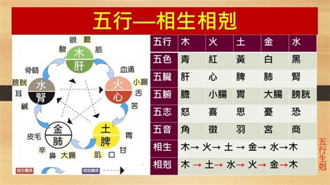 火剋金為財|火剋金嗎？揭開五行相生相剋的神祕面紗 